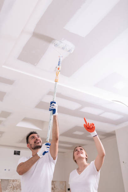 Best Ceiling Drywall Installation  in Anna, IL