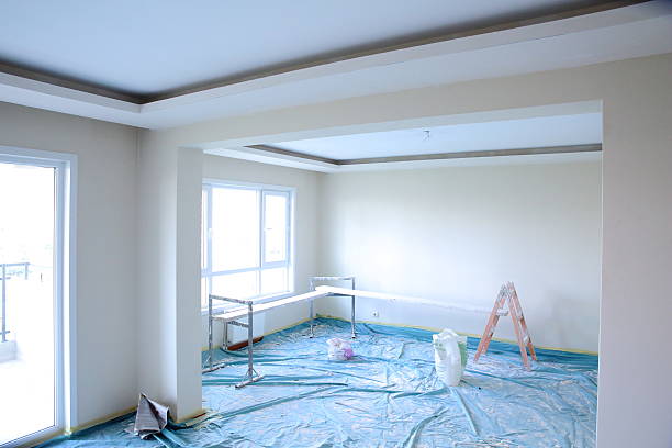 Best Residential Painting  in Anna, IL